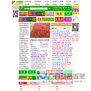 网站截图